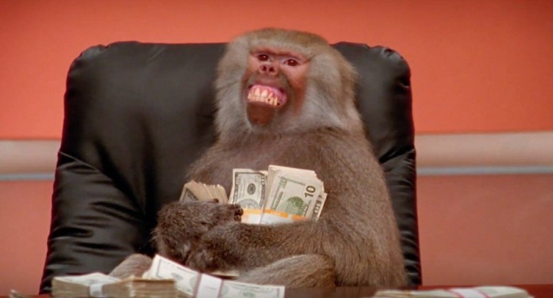 Create meme: monkey money , baboon in the office, monkey in the office
