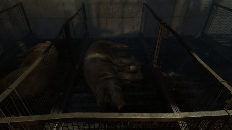 Create meme: amnesia machine for pigs, Inside the backrooms game, metro 2033 game