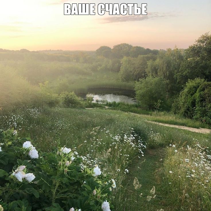 Create meme: summer morning in the village, summer landscapes, landscape 