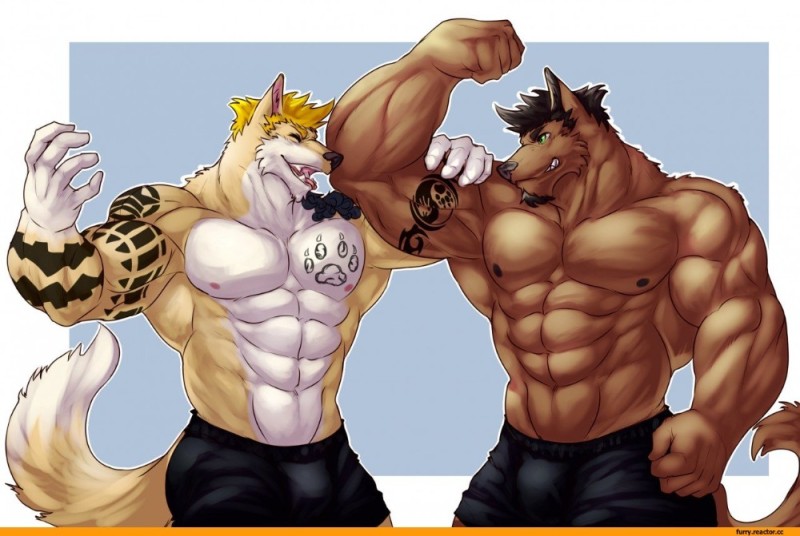 Create meme: pumped up furries, pumped up tiger, pitching furries