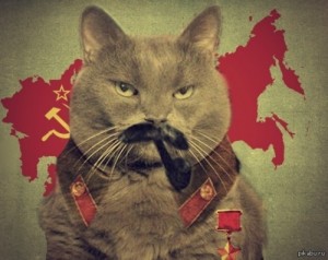 Create meme: Stalin and the cat, cat, Stalin