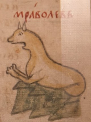 Create meme: bestiary, medieval bestiary, The medieval fox Bestiary