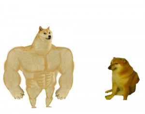 Create meme: doge meme Jock, doge Jock, inflated doge