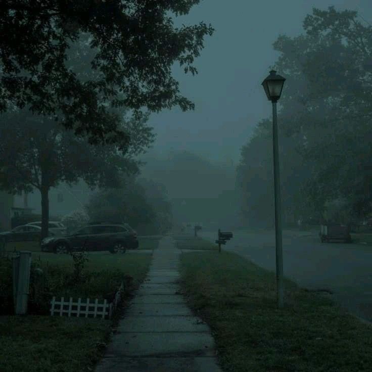 Create meme: foggy morning in the city, dark photos, foggy park