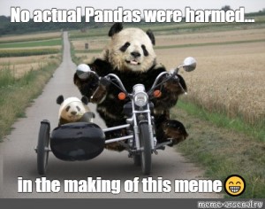 Create Meme Dobzhansky Dobzhansky Funny Panda Panda Bear Pictures Meme Arsenal Com