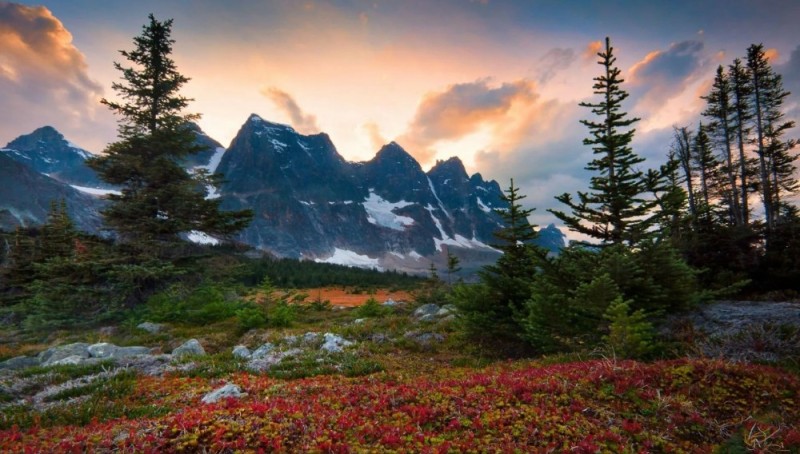 Create meme: landscapes of canada, nature mountains , mountains forest alps