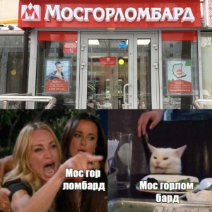 Create meme: memes labels, fun memes, cat and girl meme