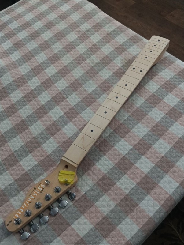 Create meme: guitar neck, neck for electric guitar, Vulture fender stratocaster