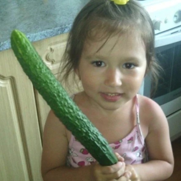 Create meme: cucumber , large cucumbers, large cucumber