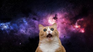 Create meme: the cat on the background of the cosmos, space cat, space cat