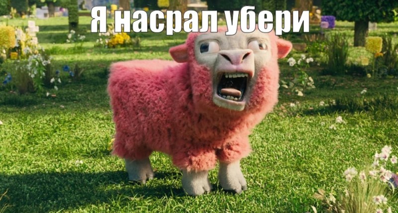 Create meme: evil sheep , pink sheep, The red ram