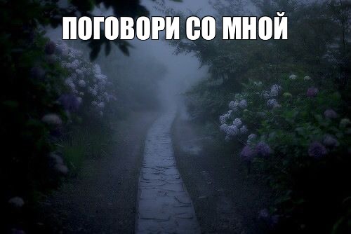 Создать мем: густой туман, сад гортензий в японии, never let you go