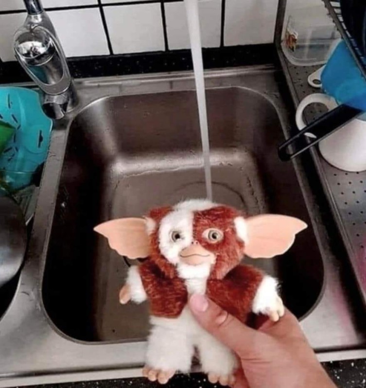 Create meme: magwai gremlins, gizmo gremlins, gremlins