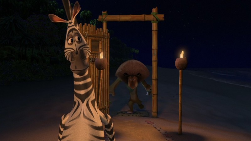 Create meme: madagascar madagascar 2005, Zebra Madagascar, Zebra from Madagascar