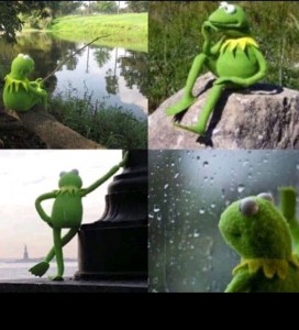 Create meme: Kermit the frog meme, Kermit the frog is waiting for, Kermit the frog rain