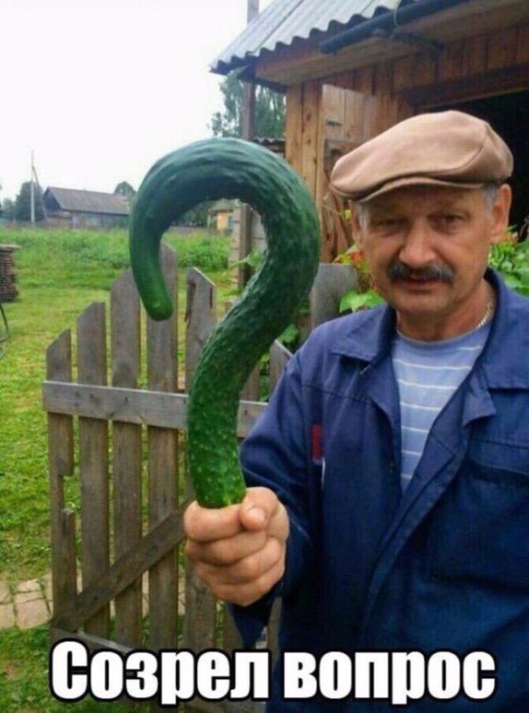 Create meme: Grandfather with a cucumber question, man cucumber , funny cucumber