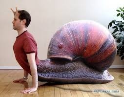 Create meme: large snails, man snail, snail