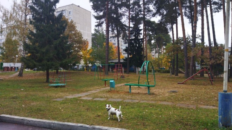 Create meme: park c, Pestovsky Park Balashikha, zelenograd playground