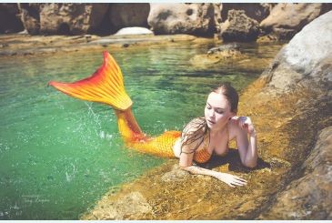 Create meme: mermaid tail for swimming, mermaid tail, The mermaid's tail is orange