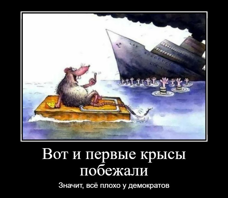 Создать мем: с тонущего корабля первыми бегут крысы, крысы с корабля, крысы с тонущего корабля
