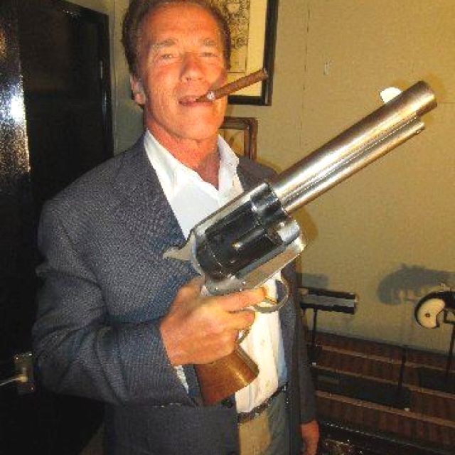 Create meme: Arnold Schwarzenegger , meme about pie die pie, while the bulls are swinging we are learning to shoot