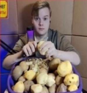 Create meme: seed potatoes, large potatoes, porridge peels potatoes