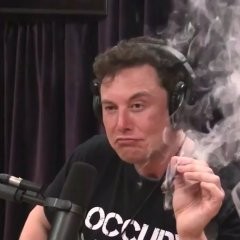 Create meme: musk Elon musk, Elon musk smokes live, Elon musk with pot