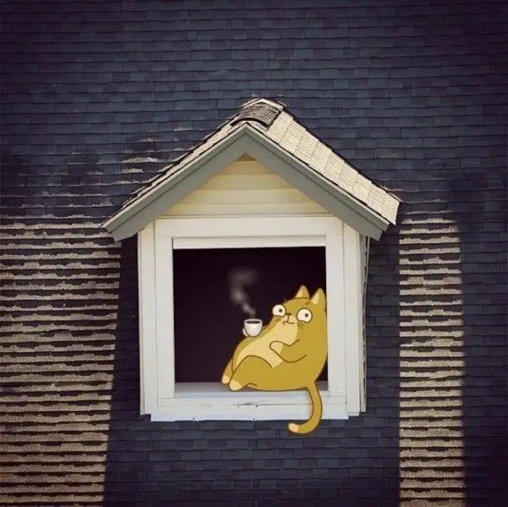 Create meme: cat , the cat in the window, cat 