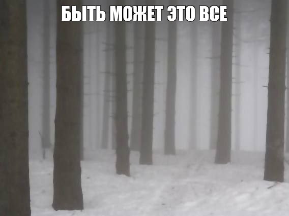 Create meme: winter forest, forest snow , darkness