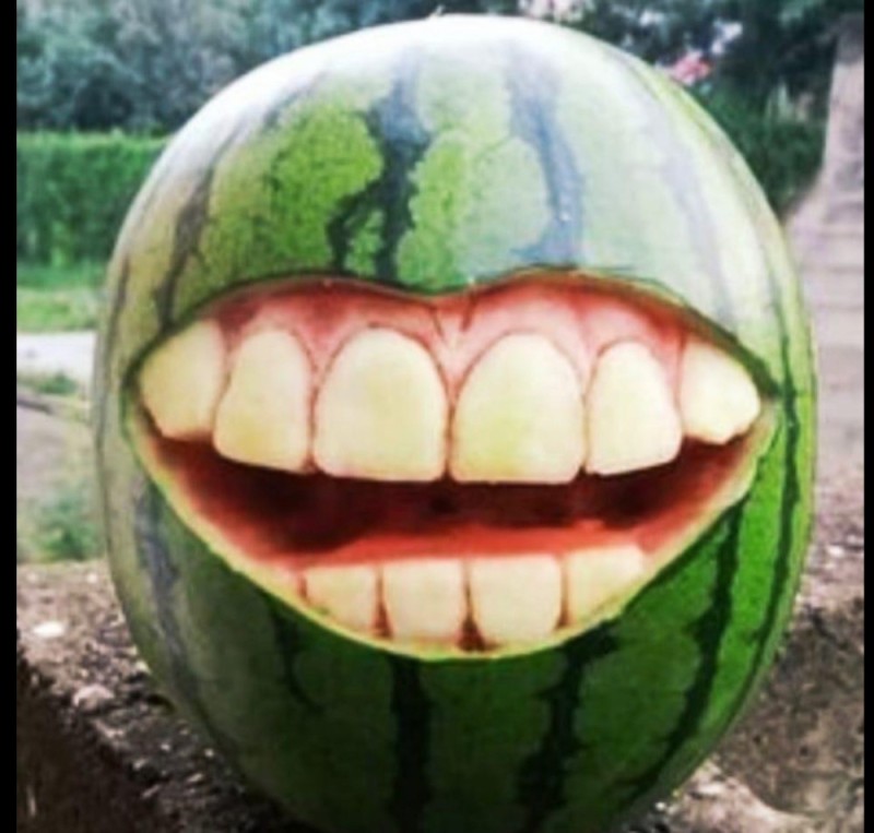 Create meme: watermelon at home, funny watermelons, watermelon and melon