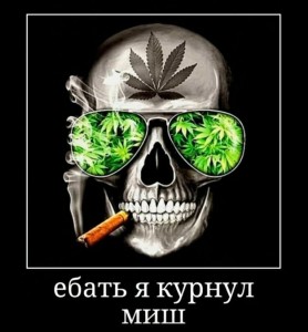 Создать мем: улыбающийся череп, череп, череп курит марихуану