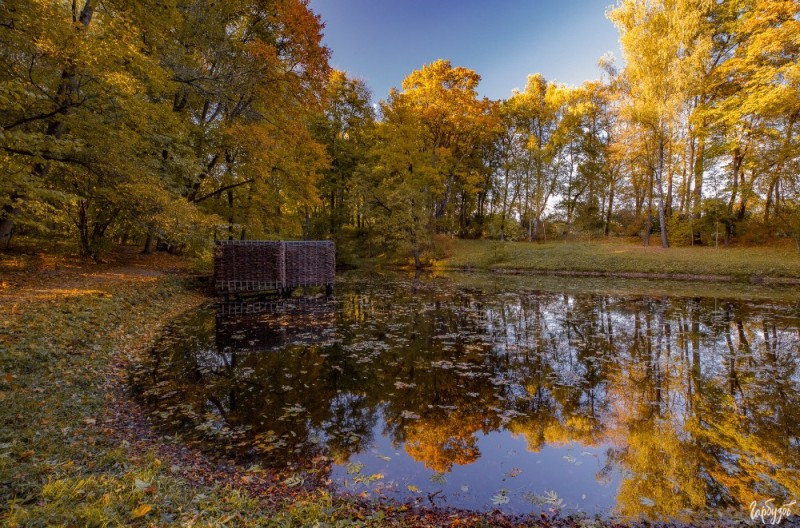 Create meme: Tsaritsyno Autumn Park, Boldin autumn, Yasnaya Polyana Tula in autumn