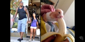 Создать мем: хомяк ест банан, шакил о нил с женой хомяк, шакил о нил с женой