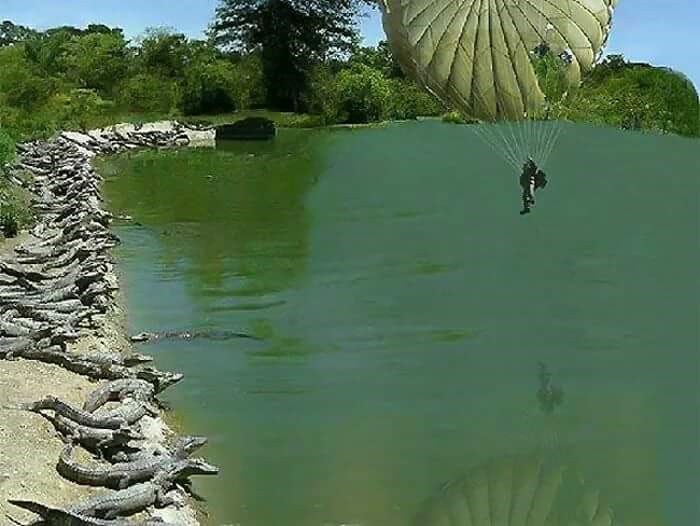 Create meme: parachutist and crocodiles, round parachute, ptl parachute