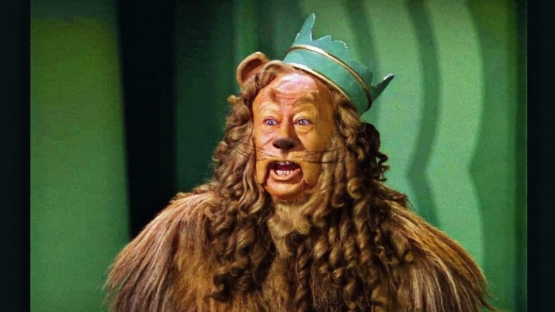 Создать мем: волшебник страны оз 1939, wizard of oz, danny windsor