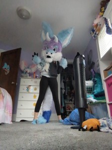 Create meme: furry, fursuit