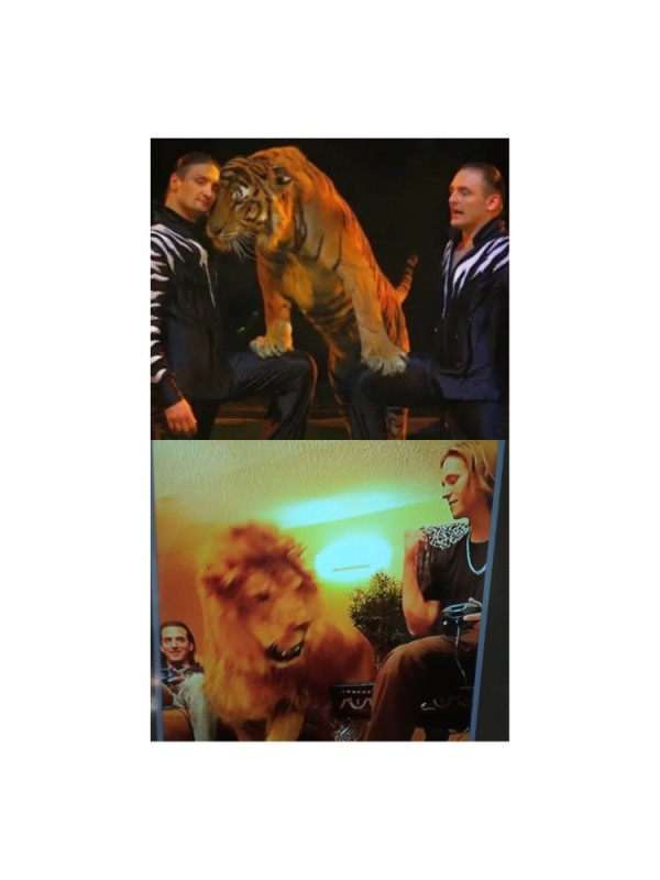 Create meme: Martin Tiger zapashnykh, Tiger Martin of the Zapashny brothers, Tiger Ricky Zapashnykh