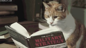 Create meme: literature, book, cat