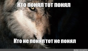 Кто не понял тот поймет. Кто понял тот понял. Волк Мем не понял. Кто понял тот понял кто не понял тот не понял. Кто понял кто не понял Мем.