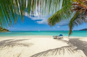 Создать мем: карибское море пляж баунти, море пляж пальмы, океан пляж пальмы