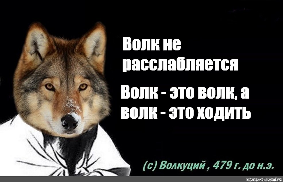 Их виль нихт мем волк. Волк Мем волк это ходить. Работа не волк волк это ходить. Волк терпит Мем. Волк из мема.