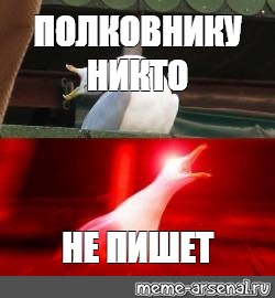 Полковнику не пишет. Полковнику никто не пишет Мем. Мем Палковн ку Нико не пишет. Полковнику никто не пишет иллюстрации. Полковнику никто не пишет полковника никто не ждет.