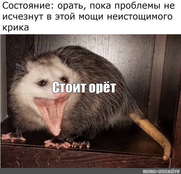 Создать мем: null