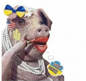 Create meme: animals, humor pig, funny pigs