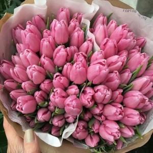 Create meme: flowers tulips, tulips, a beautiful bouquet of tulips