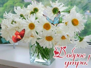 Create meme: chamomile flowers, card a bouquet of daisies