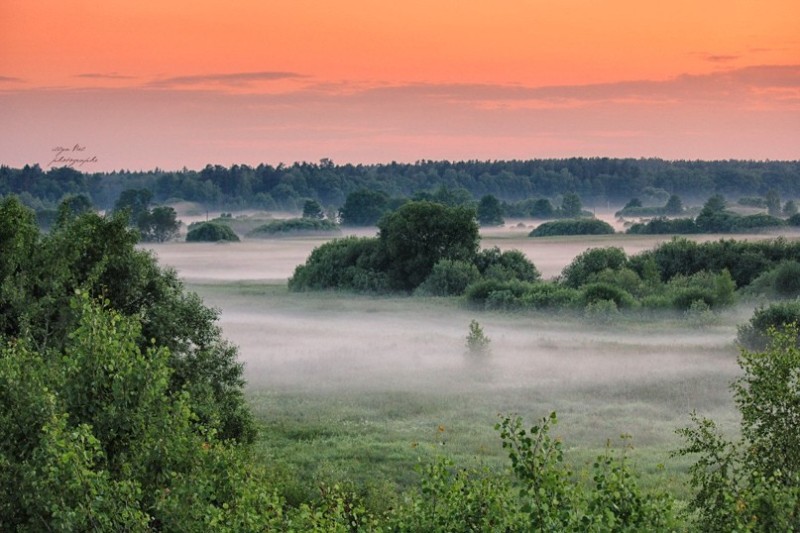 Создать мем: пейзаж утренний туман, полесская низменность беларусь, белоруссия полесье туман