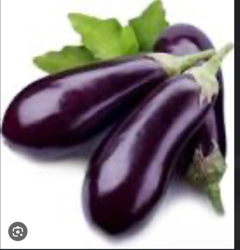 Create meme: eggplant , eggplant types, black handsome eggplant