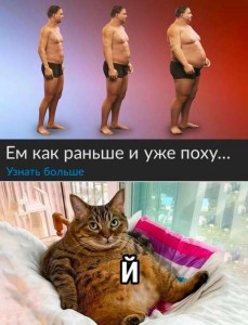 Создать мем: интересные приколы, коты, кот смешной