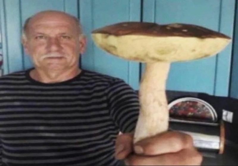 Create meme: hold the mushroom, grandfather with a mushroom meme, grandfather with a mushroom